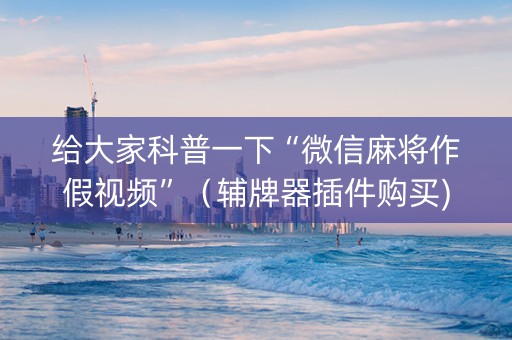 给大家科普一下“微信麻将作假视频”（辅牌器插件购买)