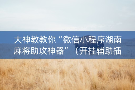 大神教教你“微信小程序湖南麻将助攻神器”（开挂辅助插件)