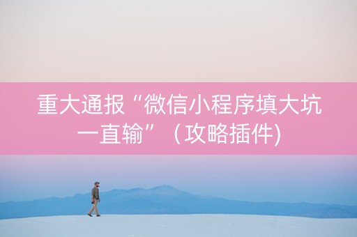 重大通报“微信小程序填大坑一直输”（攻略插件)