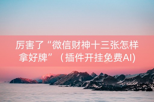 厉害了“微信财神十三张怎样拿好牌”（插件开挂免费AI)
