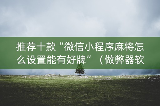 推荐十款“微信小程序麻将怎么设置能有好牌”（做弊器软件下载)