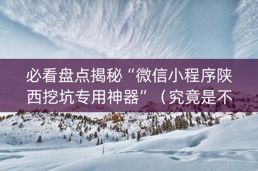 必看盘点揭秘“微信小程序陕西挖坑专用神器”（究竟是不是有挂)