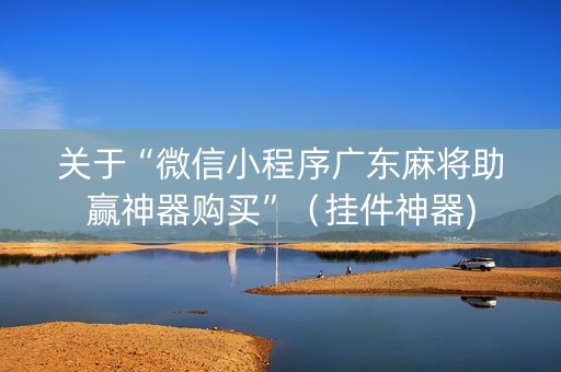 关于“微信小程序广东麻将助赢神器购买”（挂件神器)