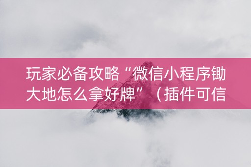 玩家必备攻略“微信小程序锄大地怎么拿好牌”（插件可信吗)
