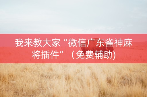 我来教大家“微信广东雀神麻将插件”（免费辅助)