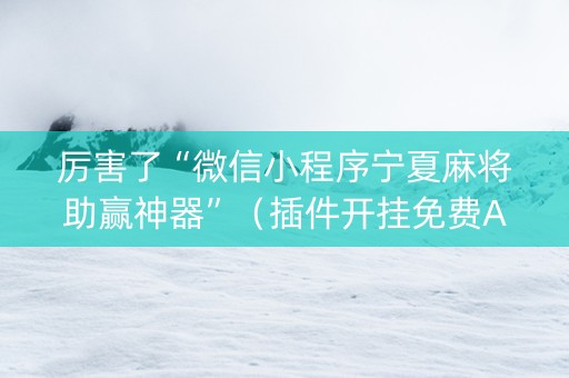 厉害了“微信小程序宁夏麻将助赢神器”（插件开挂免费AI)