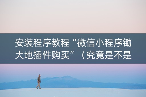 安装程序教程“微信小程序锄大地插件购买”（究竟是不是有挂)