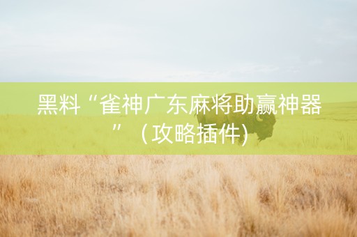 黑料“雀神广东麻将助赢神器”（攻略插件)