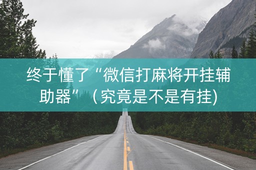 终于懂了“微信打麻将开挂辅助器”（究竟是不是有挂)