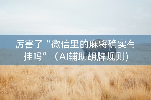 厉害了“微信里的麻将确实有挂吗”（AI辅助胡牌规则)