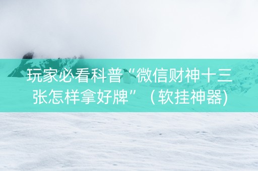 玩家必看科普“微信财神十三张怎样拿好牌”（软挂神器)