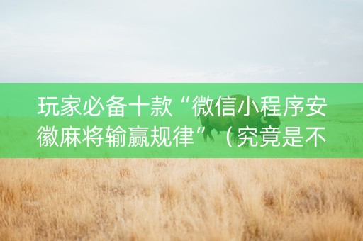玩家必备十款“微信小程序安徽麻将输赢规律”（究竟是不是有挂)