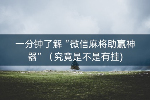 一分钟了解“微信麻将助赢神器”（究竟是不是有挂)