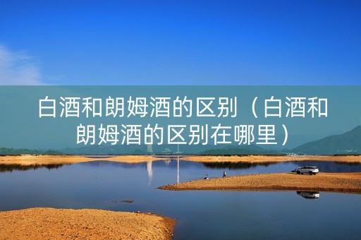 白酒和朗姆酒的区别（白酒和朗姆酒的区别在哪里）