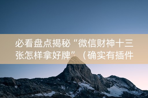 必看盘点揭秘“微信财神十三张怎样拿好牌”（确实有插件吗)