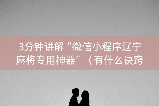 3分钟讲解“微信小程序辽宁麻将专用神器”（有什么诀窍)