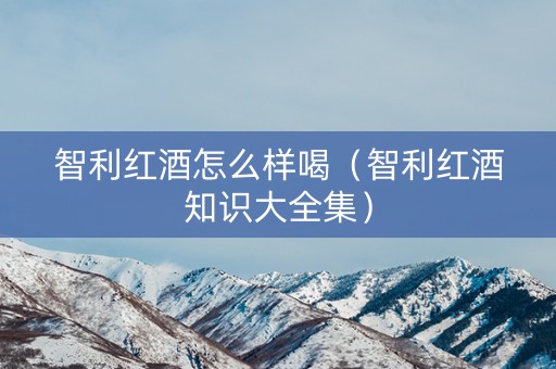 智利红酒怎么样喝（智利红酒知识大全集）