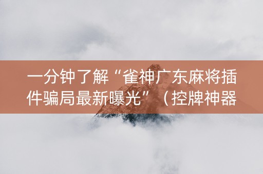 一分钟了解“雀神广东麻将插件骗局最新曝光”（控牌神器)