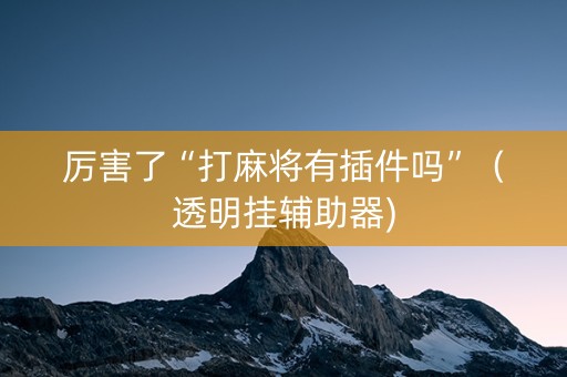 厉害了“打麻将有插件吗”（透明挂辅助器)