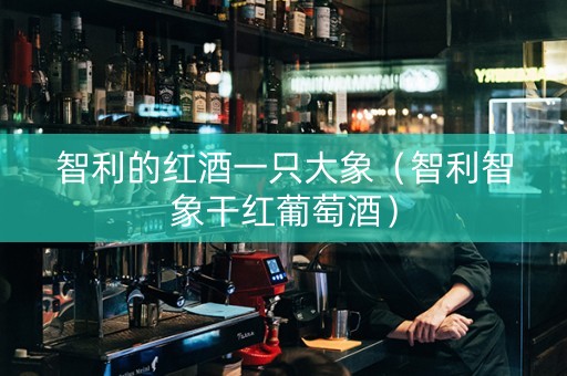 智利的红酒一只大象（智利智象干红葡萄酒）