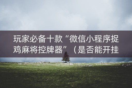 玩家必备十款“微信小程序捉鸡麻将控牌器”（是否能开挂)