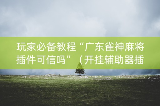 玩家必备教程“广东雀神麻将插件可信吗”（开挂辅助器插件)