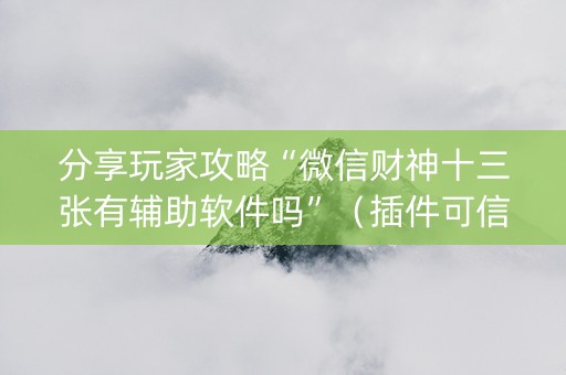 分享玩家攻略“微信财神十三张有辅助软件吗”（插件可信吗)