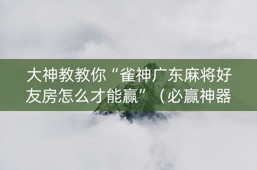 大神教教你“雀神广东麻将好友房怎么才能赢”（必赢神器)