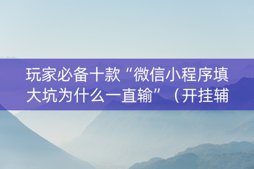 玩家必备十款“微信小程序填大坑为什么一直输”（开挂辅助器脚本)