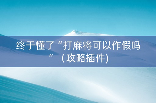 终于懂了“打麻将可以作假吗”（攻略插件)