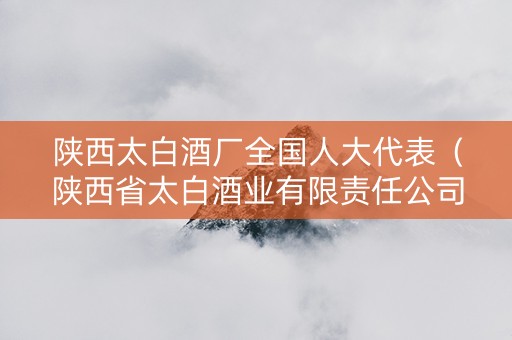 陕西太白酒厂全国人大代表（陕西省太白酒业有限责任公司在延安）