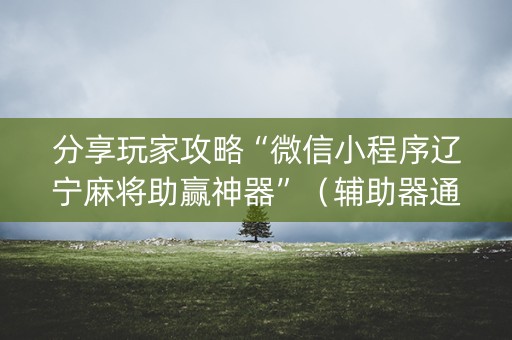 分享玩家攻略“微信小程序辽宁麻将助赢神器”（辅助器通用版)