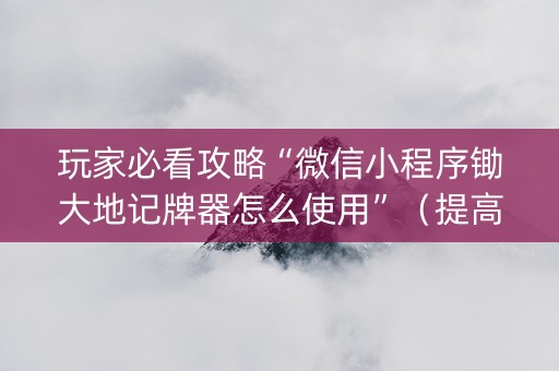 玩家必看攻略“微信小程序锄大地记牌器怎么使用”（提高胜率软件)