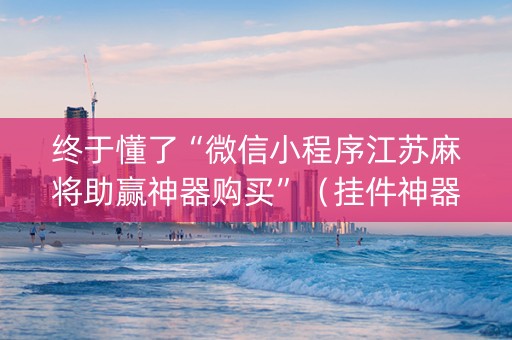 终于懂了“微信小程序江苏麻将助赢神器购买”（挂件神器)