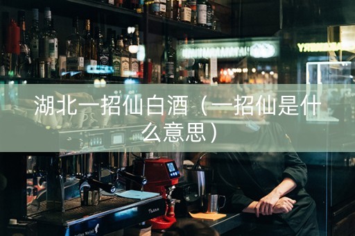 湖北一招仙白酒（一招仙是什么意思）