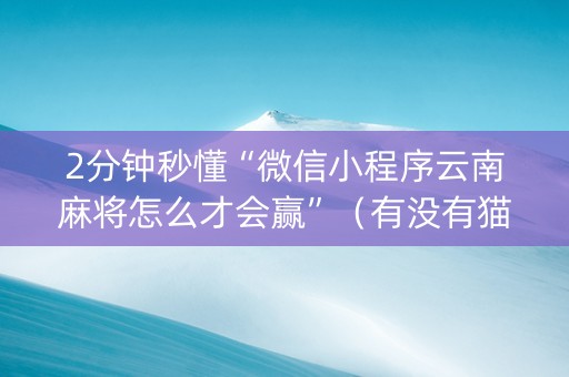 2分钟秒懂“微信小程序云南麻将怎么才会赢”（有没有猫腻)