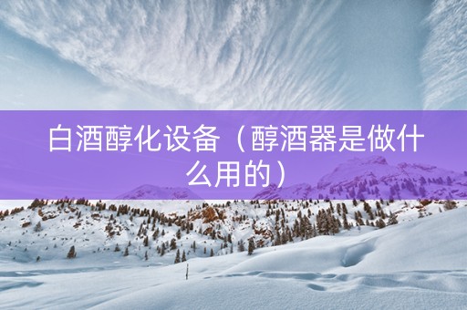白酒醇化设备（醇酒器是做什么用的）