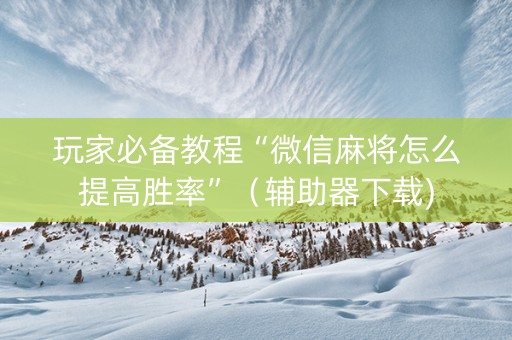 玩家必备教程“微信麻将怎么提高胜率”（辅助器下载)