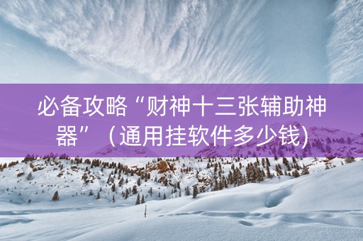 必备攻略“财神十三张辅助神器”（通用挂软件多少钱)
