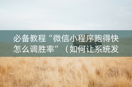 必备教程“微信小程序跑得快怎么调胜率”（如何让系统发好牌)
