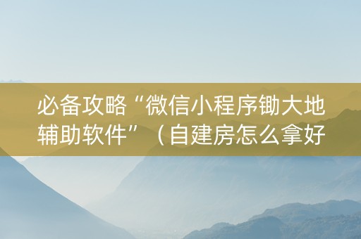 必备攻略“微信小程序锄大地辅助软件”（自建房怎么拿好牌)