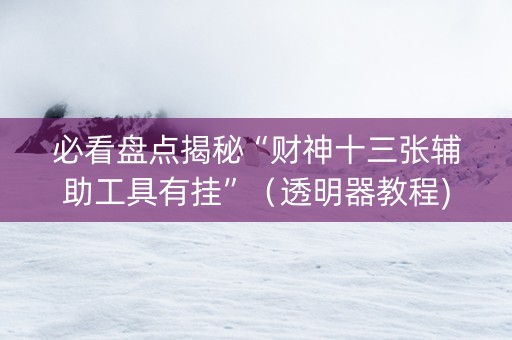 必看盘点揭秘“财神十三张辅助工具有挂”（透明器教程)