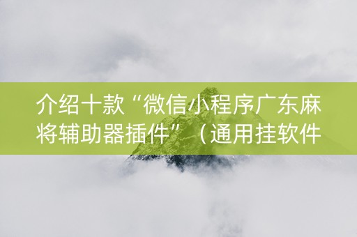 介绍十款“微信小程序广东麻将辅助器插件”（通用挂软件多少钱)
