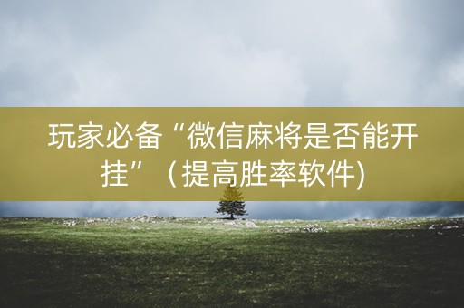 玩家必备“微信麻将是否能开挂”（提高胜率软件)
