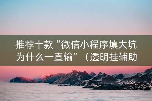 推荐十款“微信小程序填大坑为什么一直输”（透明挂辅助器)