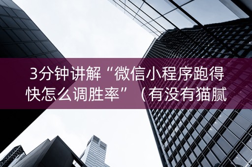 3分钟讲解“微信小程序跑得快怎么调胜率”（有没有猫腻)