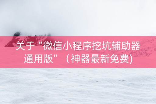 关于“微信小程序挖坑辅助器通用版”（神器最新免费)