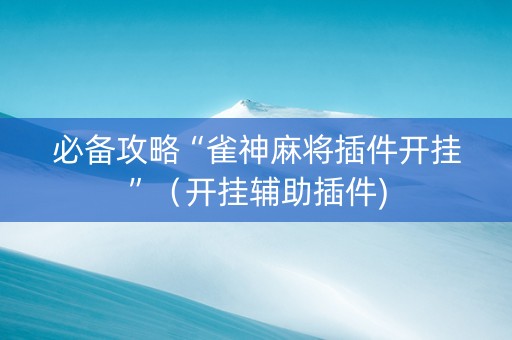 必备攻略“雀神麻将插件开挂”（开挂辅助插件)