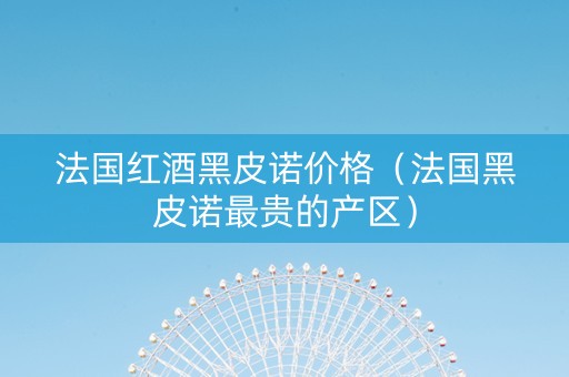 法国红酒黑皮诺价格（法国黑皮诺最贵的产区）