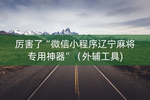厉害了“微信小程序辽宁麻将专用神器”（外辅工具)